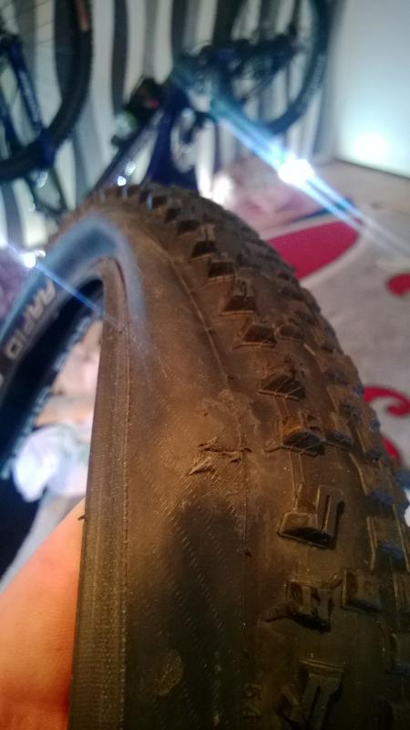 WP_20140829_015.jpg