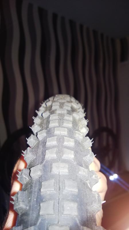 WP_20140829_012.jpg
