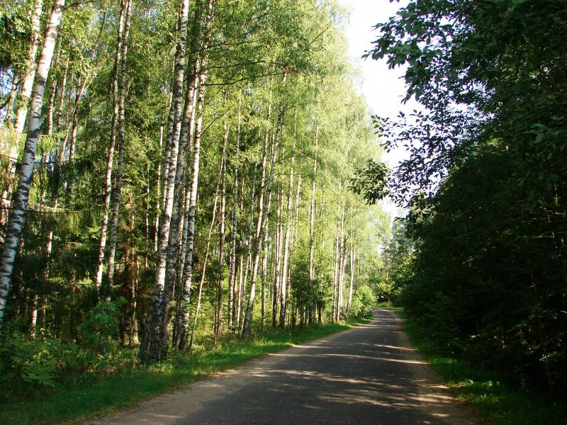 DSC00622.jpg