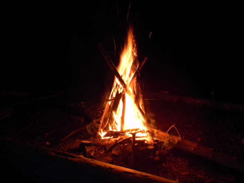DSCN6600.jpg