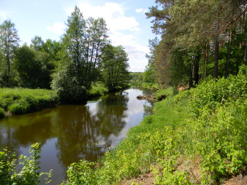 DSCN6646.jpg