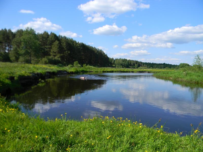 DSCN6700.jpg