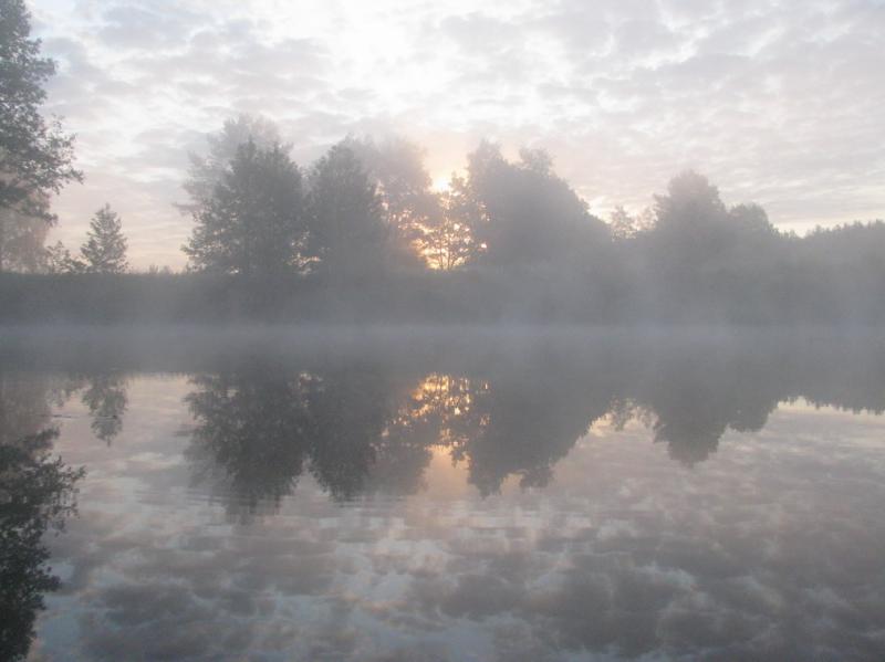 IMG_1884_3.jpg