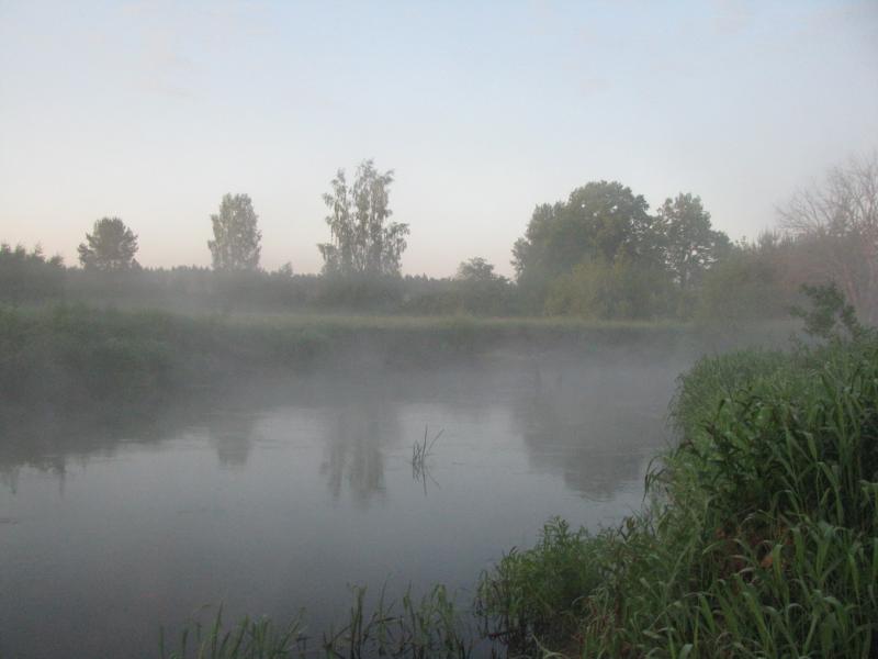 IMG_1886_4.jpg