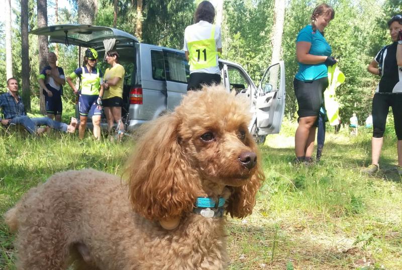 20170722_220827.jpg
