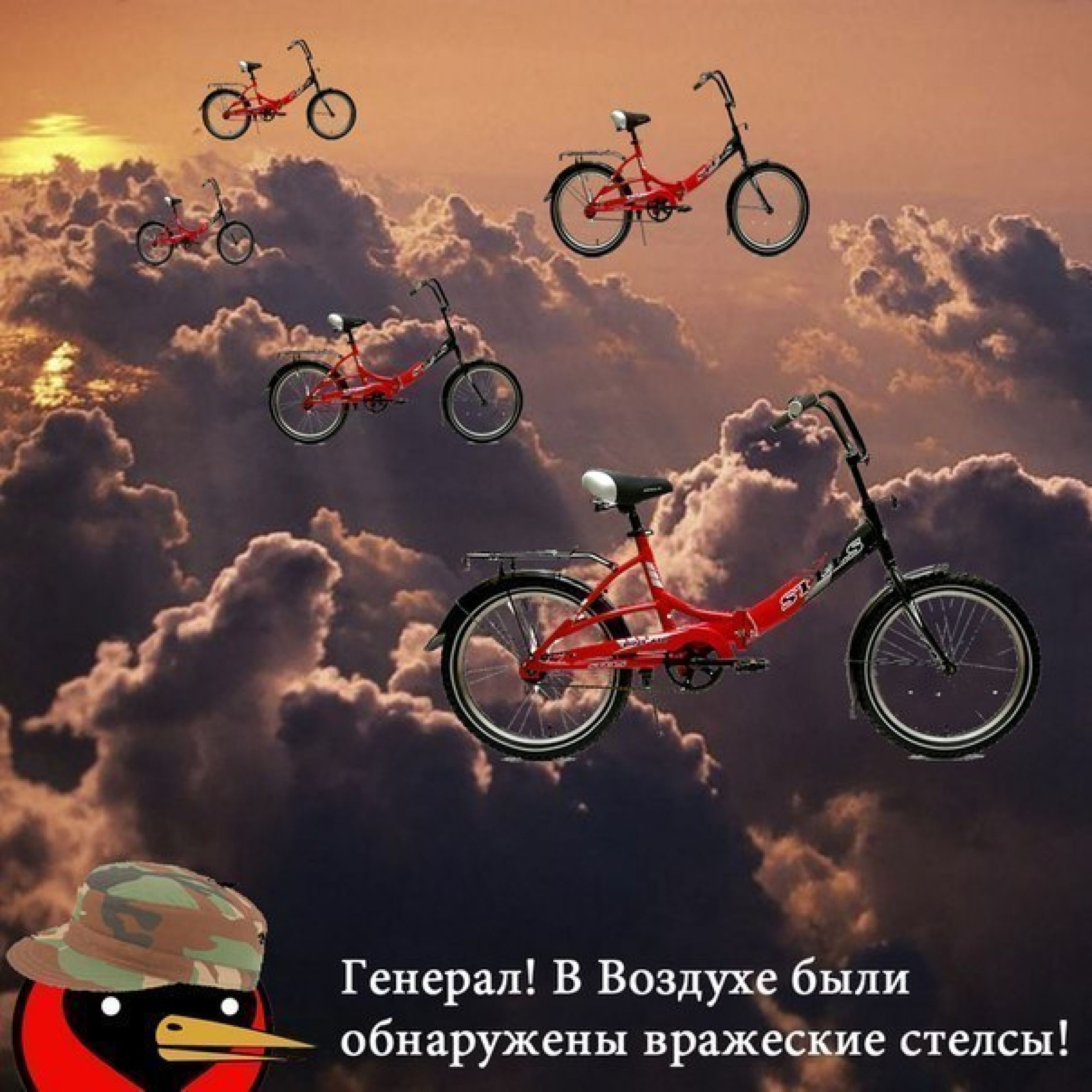 stels_3.jpg