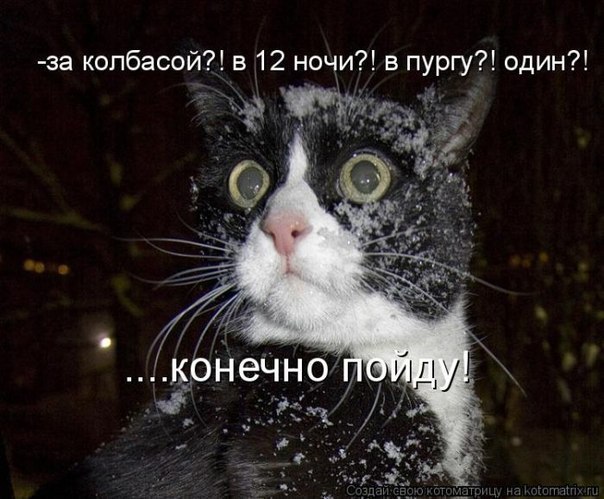 011_9.jpg