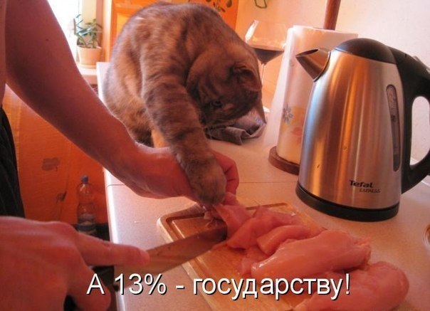 010_10.jpg