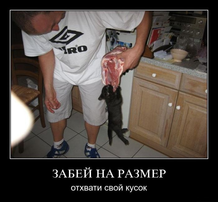 009_9.jpg