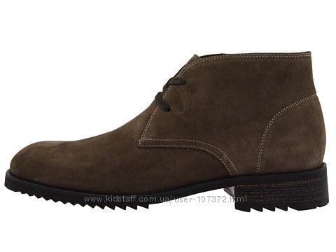 bl_k_olive_12.JPG