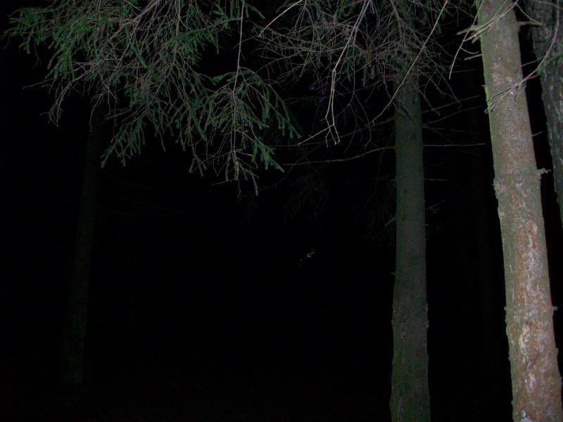 100_3221.jpg