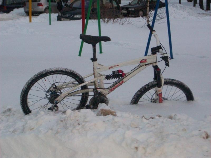 100_3700.jpg