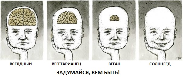 T5hVuC6bBCI_2.jpg