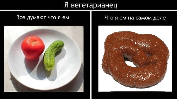 GTmiWohb0ek_2.jpg