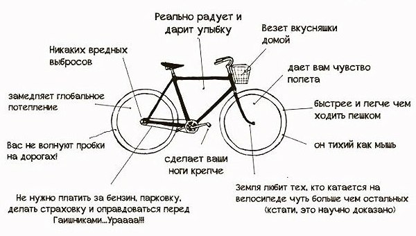 FdrMfk1ALkU.jpg