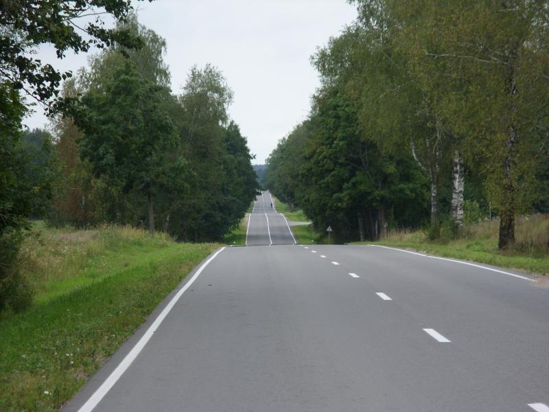 SDC10389.jpg