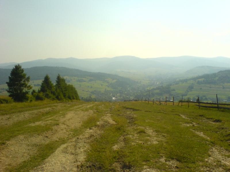 DSC02687.jpg