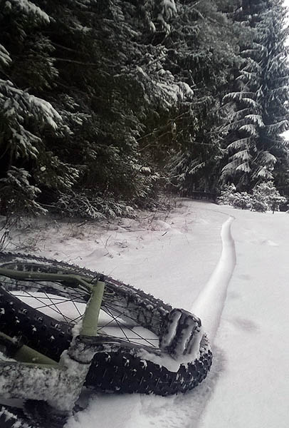 WP_20150122_001.jpg