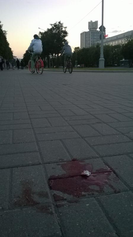 WP_20140619_004.jpg