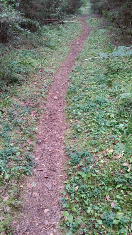 2014-09-03_11.17.46.jpg