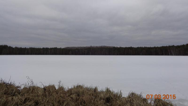 DSC01727.jpg