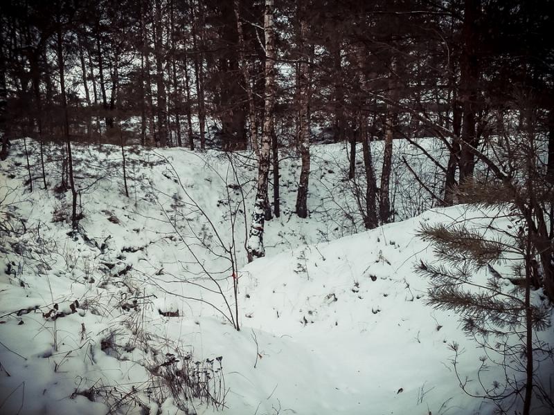 0901201510721.jpg