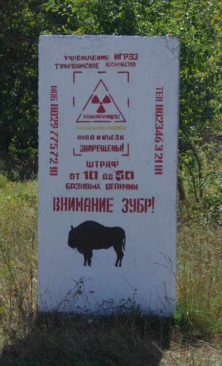 zubry_na_poles'e.jpg