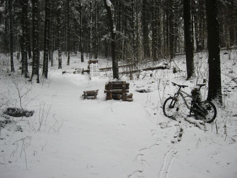 IMG_4132.jpg