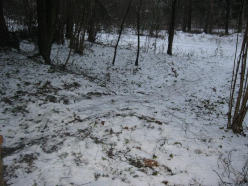 IMG_4148.jpg