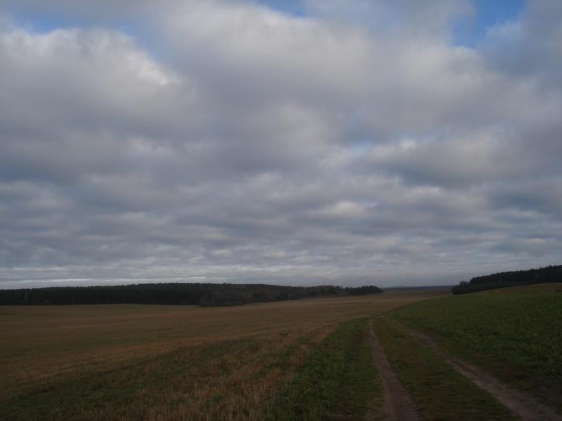 DSC08619.jpg