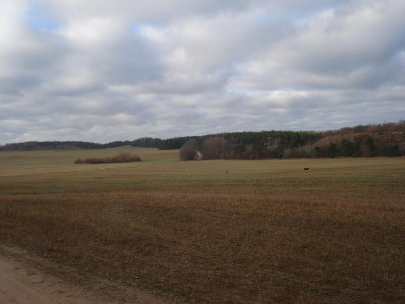 DSC08620.jpg