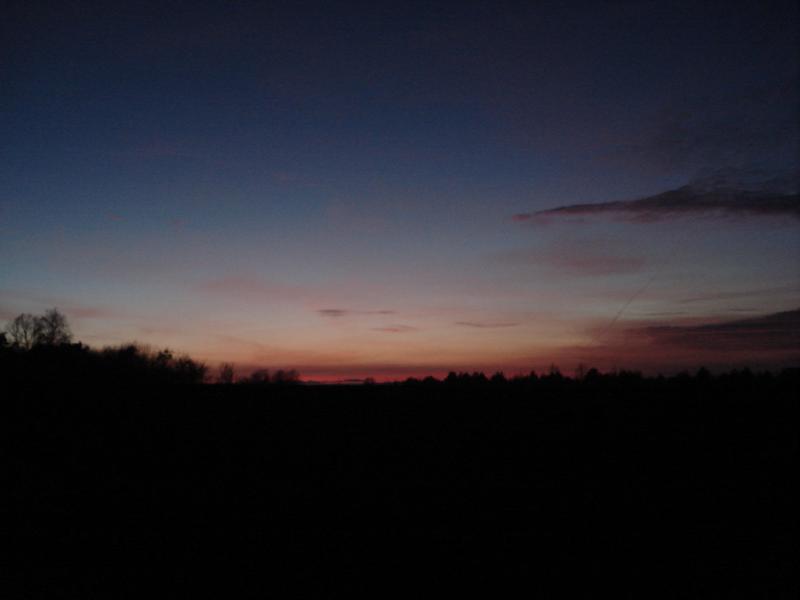 DSC08625.jpg