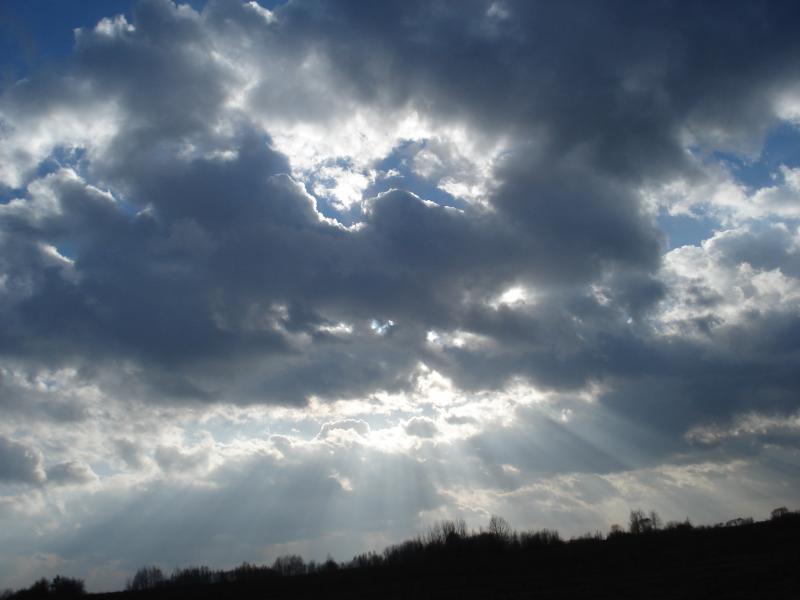 DSC00899.jpg