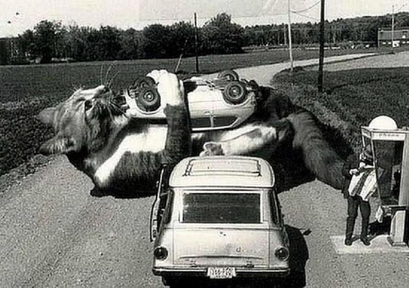 Giant_sat_eat_your_car.jpg