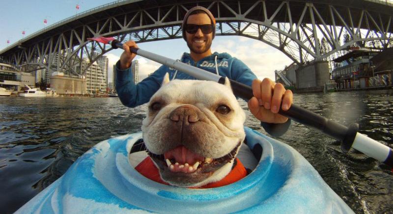 Dog_likes_to_kayak_1.jpg