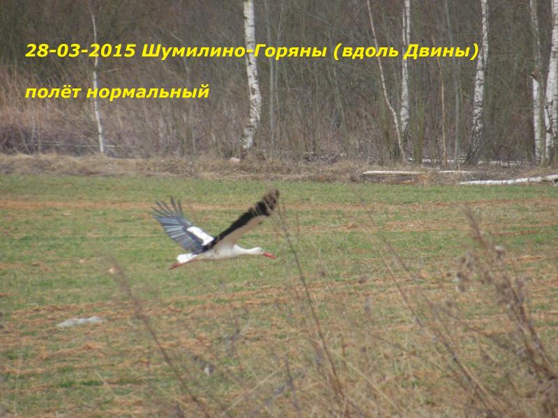 DSCN3954.jpg
