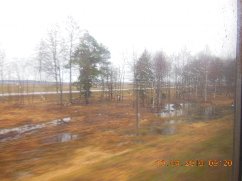 DSCN7236.jpg
