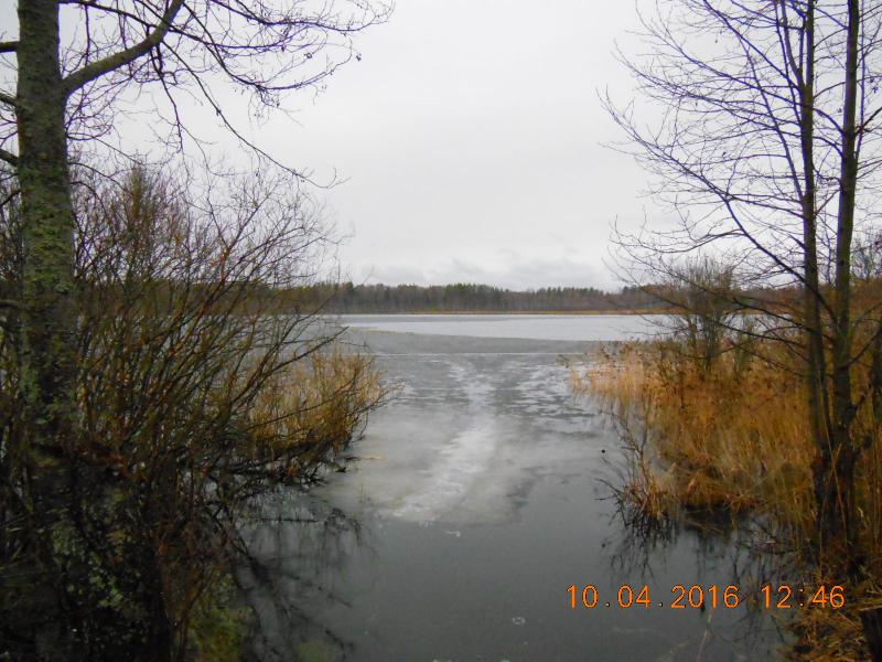 DSCN7268.jpg