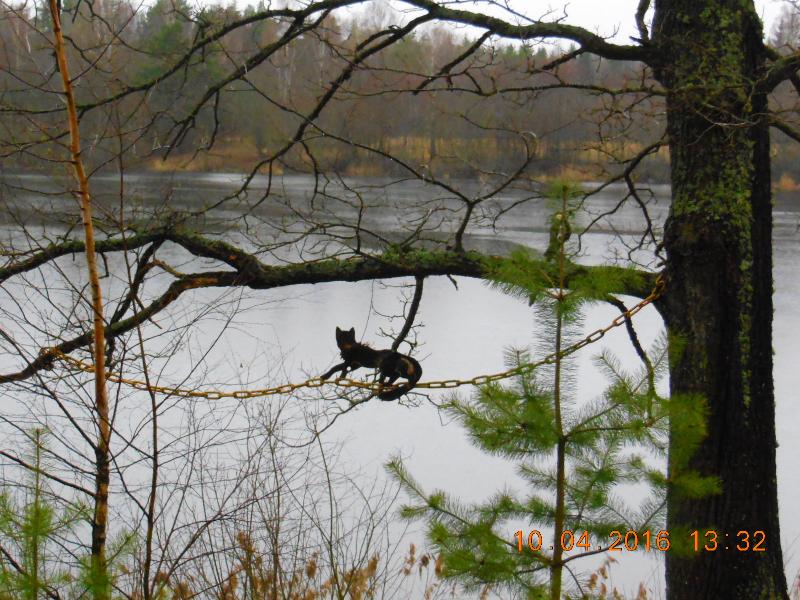 DSCN7281.jpg