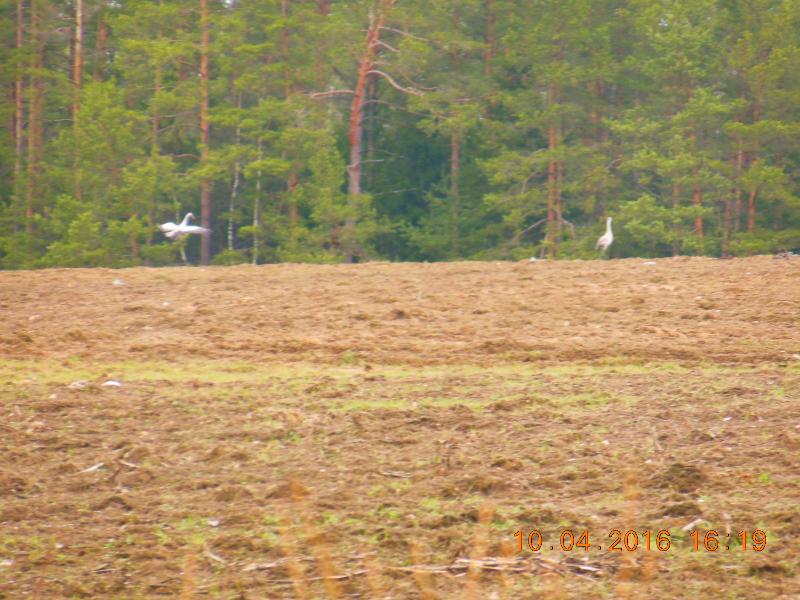 DSCN7311.jpg