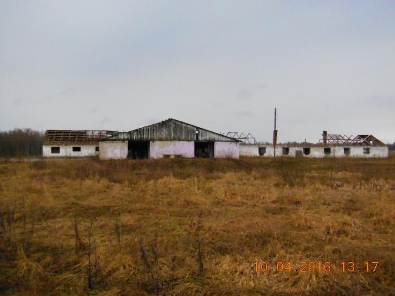 DSCN7272.jpg
