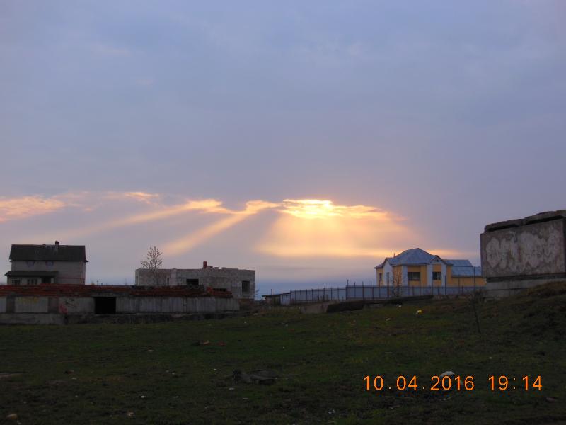 DSCN7330.jpg