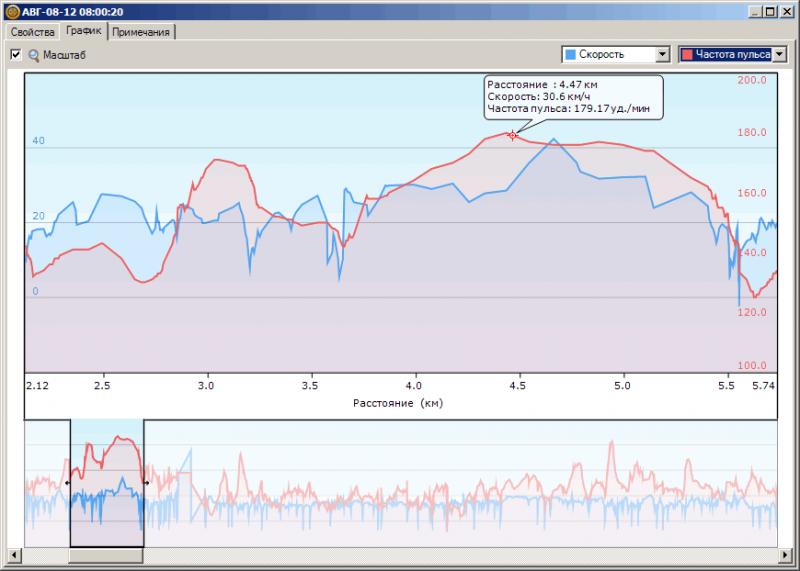puls2.jpg