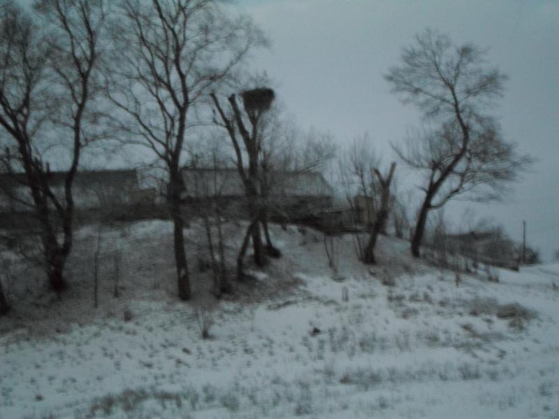 SAM_2514_2.jpg