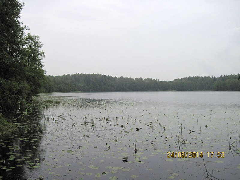 IMG_1624-izm.jpg