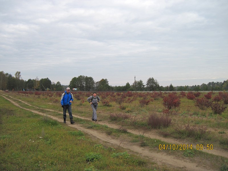 IMG_1646-izm.jpg
