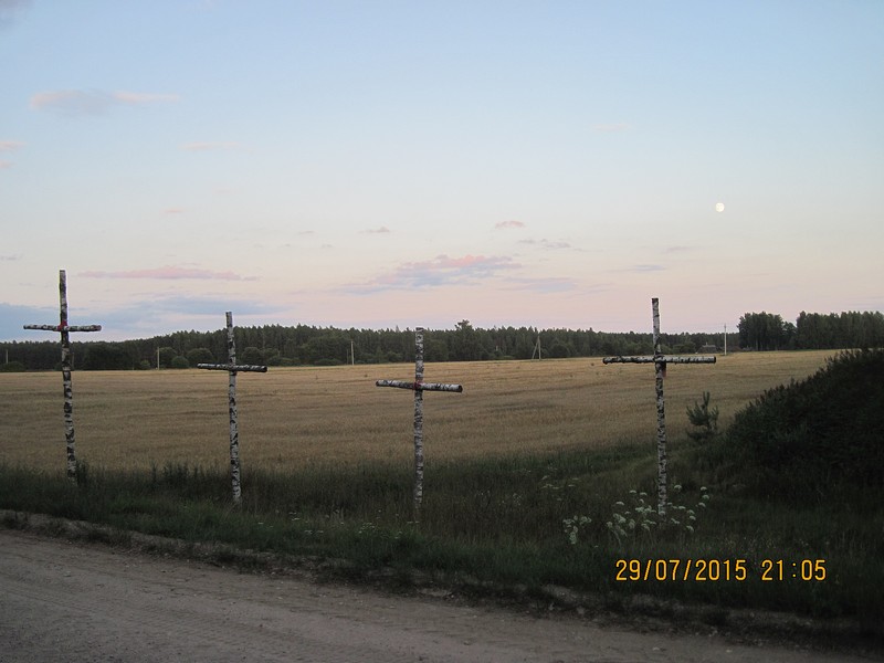 IMG_2003-izm.jpg