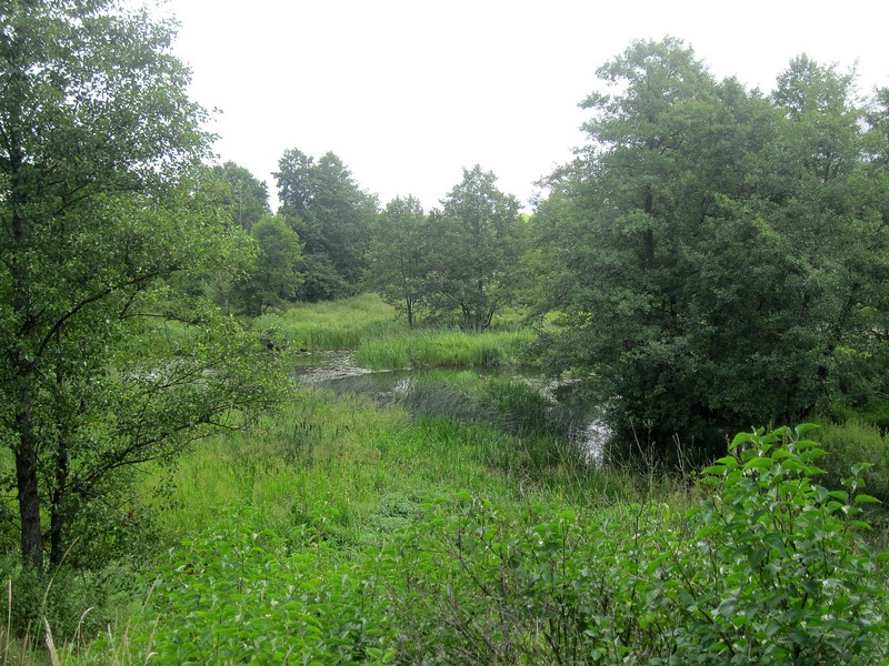 IMG_2012-izm.jpg