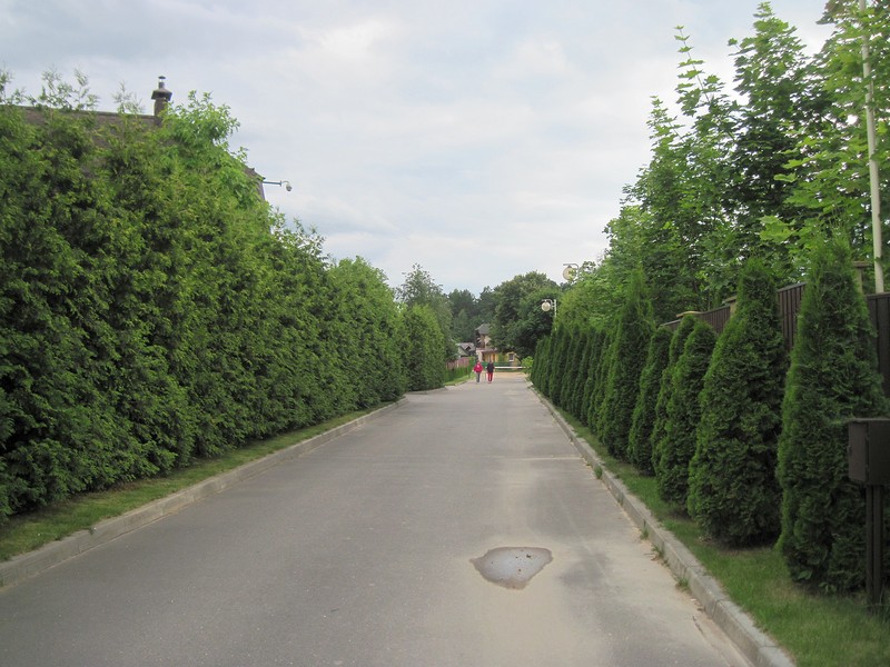 IMG_2064-izm.jpg