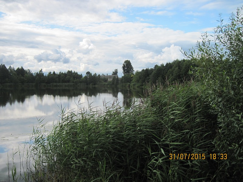 IMG_2129-izm.jpg